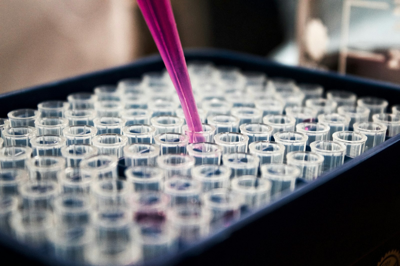 Modern biotechnology laboratory